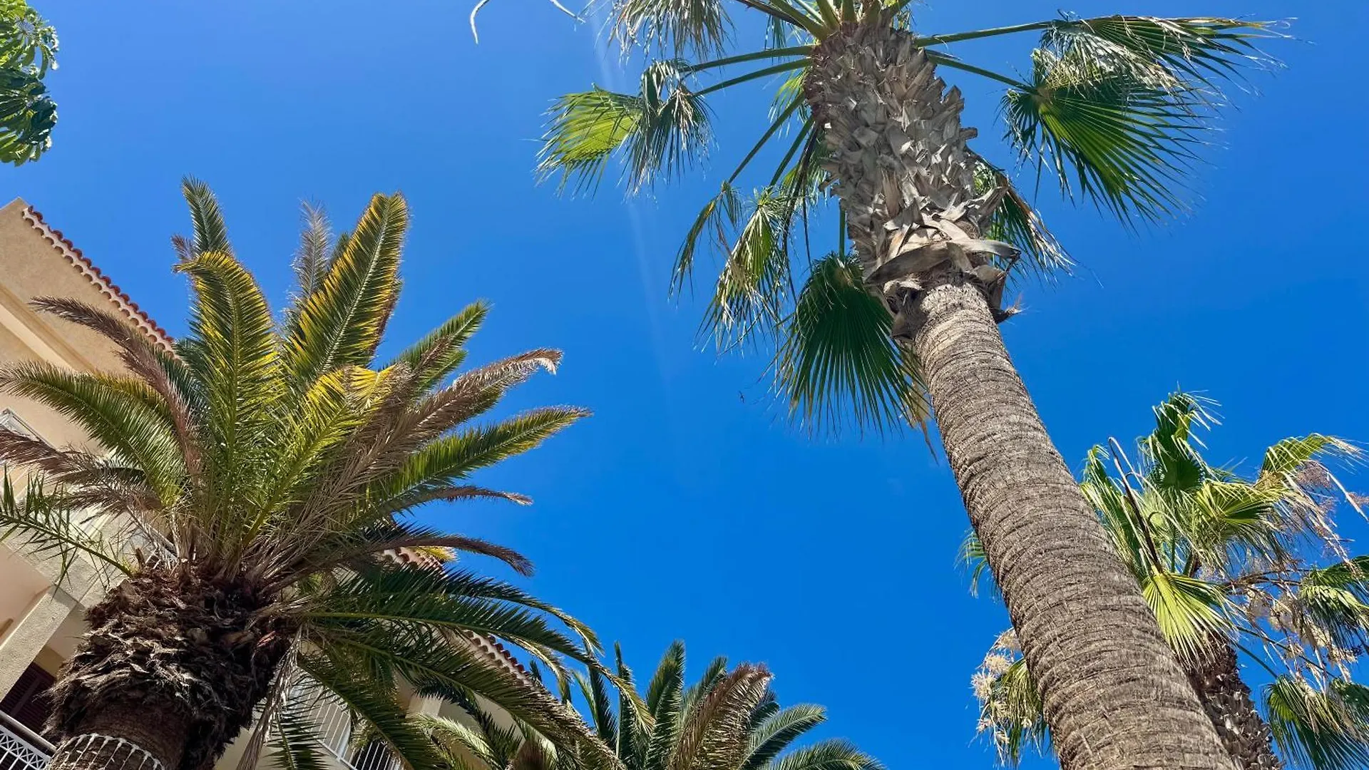 Διαμέρισμα Golden Mile Getaway - Las Americas Tenerife Πλάγια ντε λας Αμέρικας